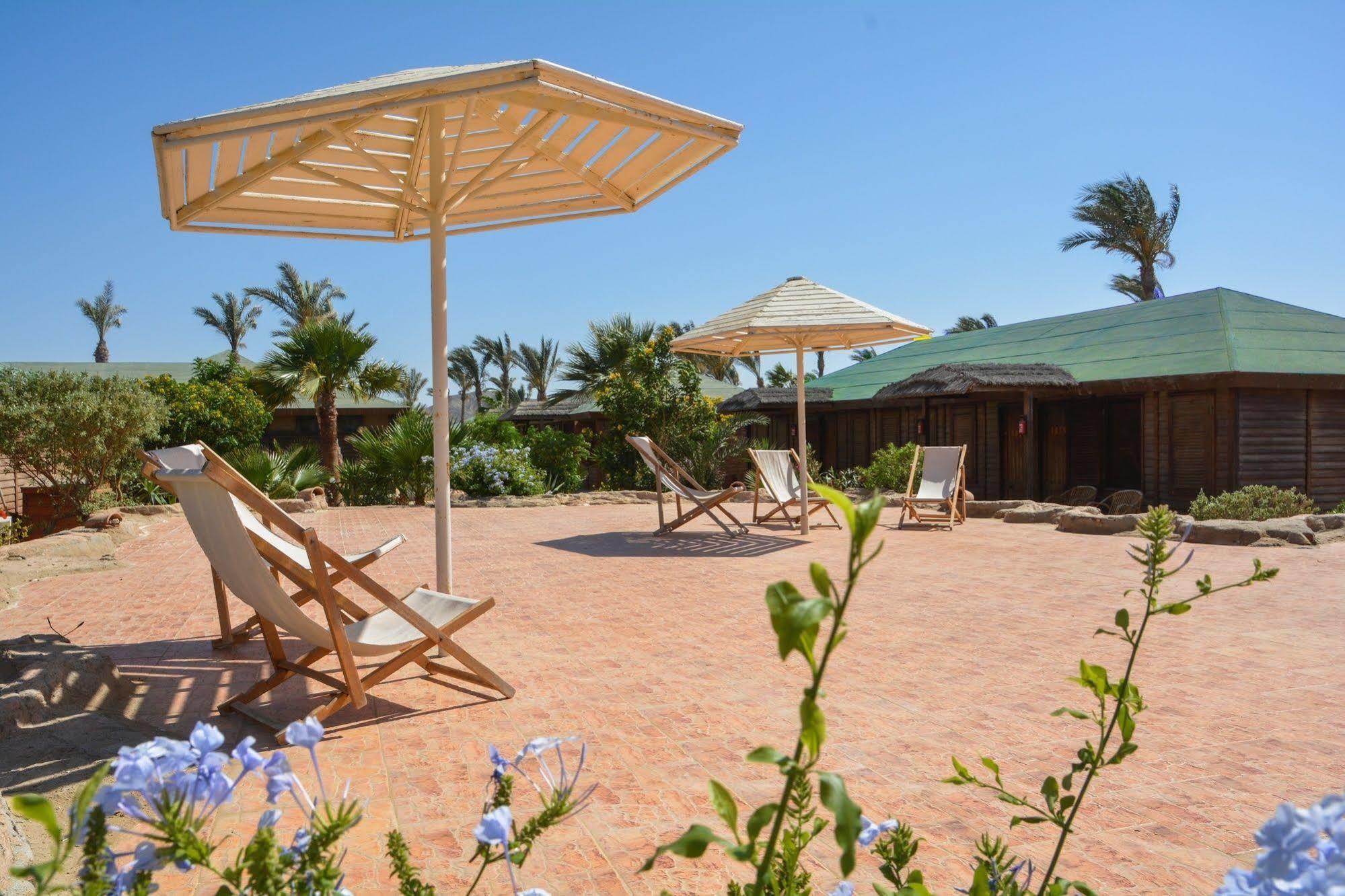 Abu Dabab Diving Lodge Marsa Alam Exterior photo